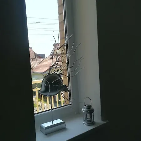 Goscinne Kamako * Dźwirzyno